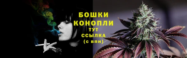 соль ск Михайлов