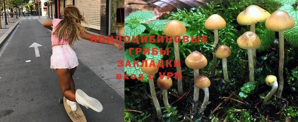 MDMA Михайловка