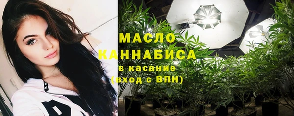 соль ск Михайлов