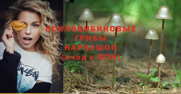 MDMA Михайловка
