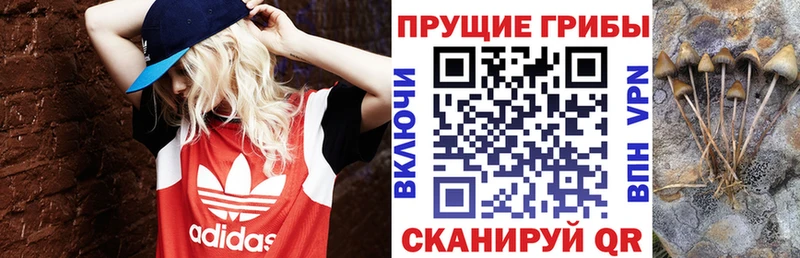 Псилоцибиновые грибы мицелий  сколько стоит  Шарыпово 